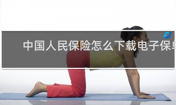 中国人民保险怎么下载电子保单