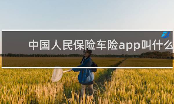 中国人民保险车险app叫什么