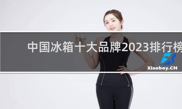中国冰箱十大品牌2023排行榜