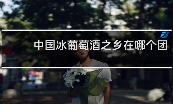 中国冰葡萄酒之乡在哪个团
