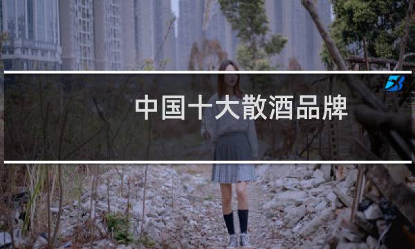 中国十大散酒品牌