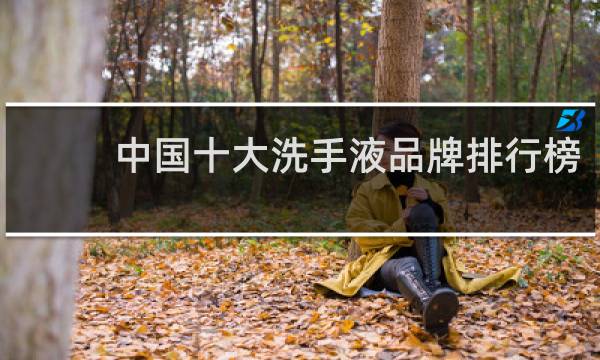 中国十大洗手液品牌排行榜