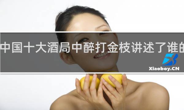 中国十大酒局中醉打金枝讲述了谁的故事