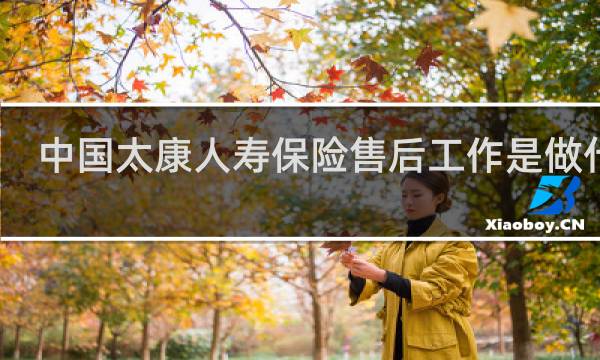 中国太康人寿保险售后工作是做什么