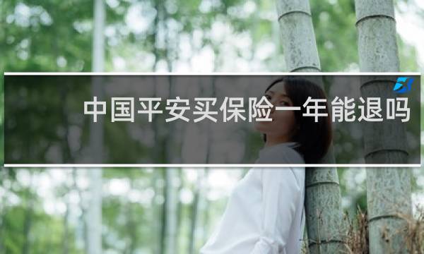 中国平安买保险一年能退吗