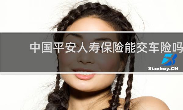 中国平安人寿保险能交车险吗