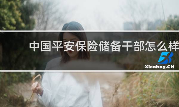 中国平安保险储备干部怎么样
