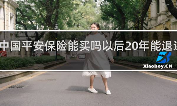 中国平安保险能买吗以后20年能退还钱吗