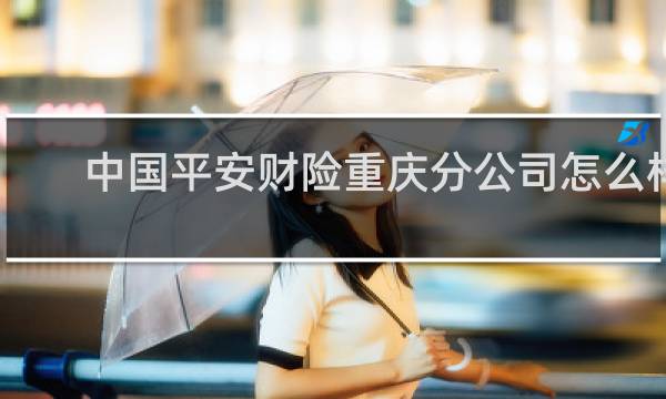 中国平安财险重庆分公司怎么样