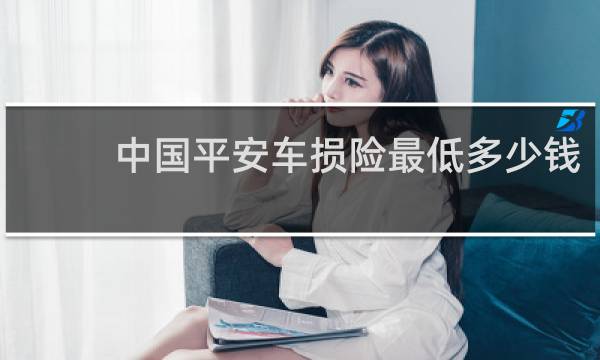 中国平安车损险最低多少钱