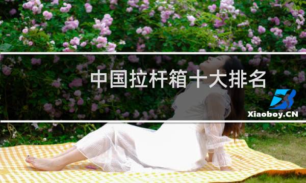 中国拉杆箱十大排名