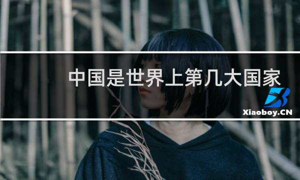 中国是世界上第几大国家