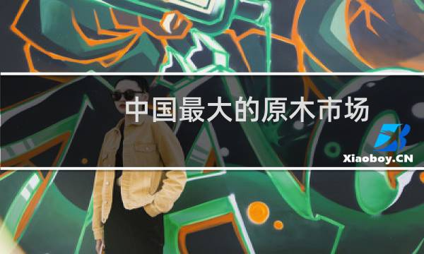 中国最大的原木市场