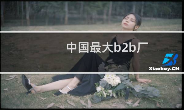 中国最大b2b厂