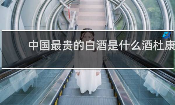 中国最贵的白酒是什么酒杜康