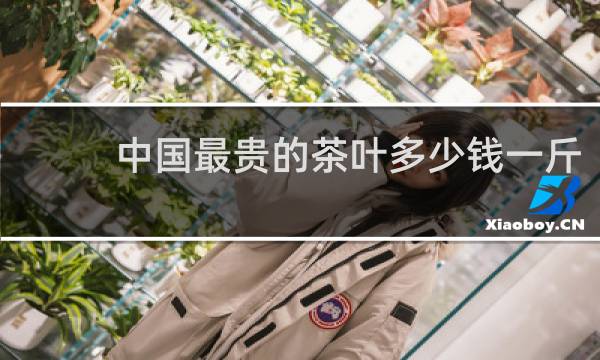 中国最贵的茶叶多少钱一斤
