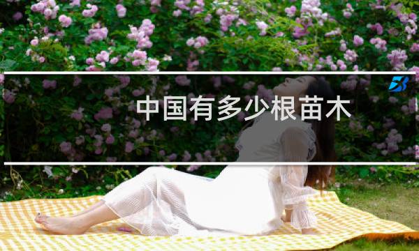 中国有多少根苗木