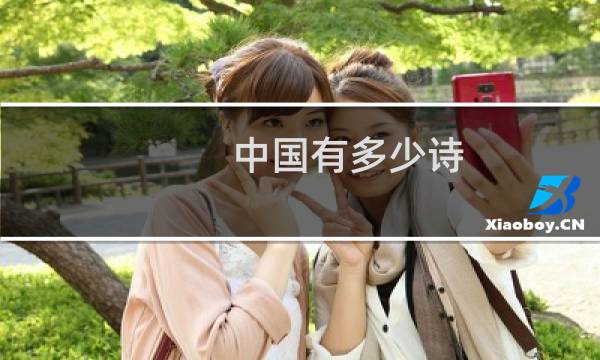 中国有多少诗