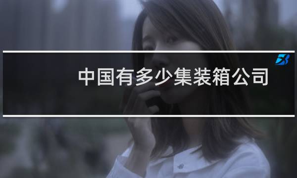 中国有多少集装箱公司