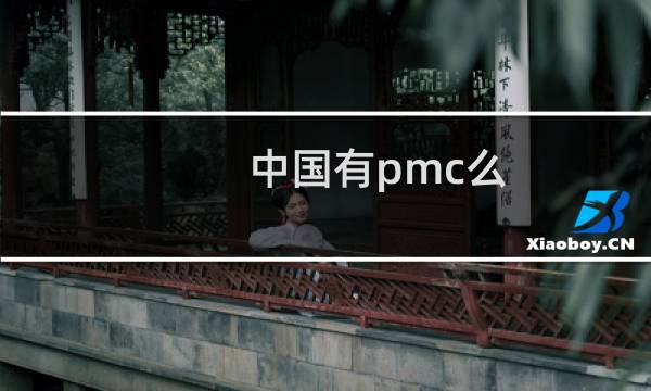 中国有pmc么