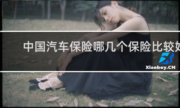 中国汽车保险哪几个保险比较好