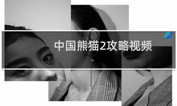 中国熊猫2攻略视频