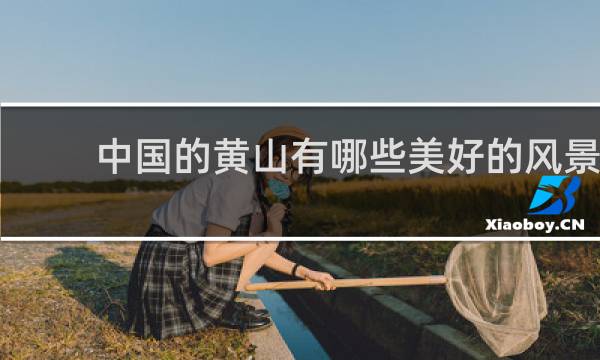 中国的黄山有哪些美好的风景