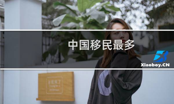 中国移民最多