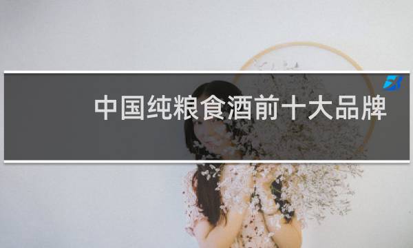中国纯粮食酒前十大品牌