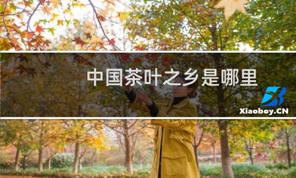 中国茶叶之乡是哪里