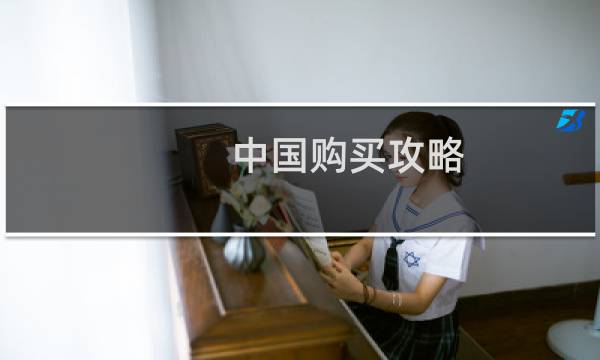 中国购买攻略