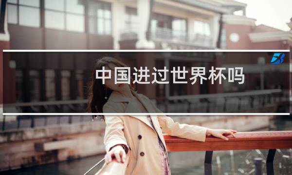 中国进过世界杯吗