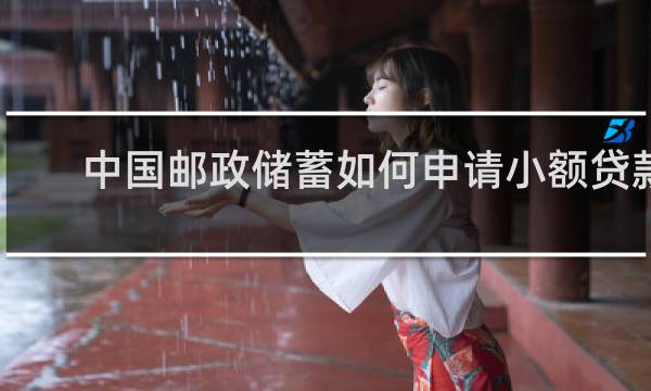 中国邮政储蓄如何申请小额贷款