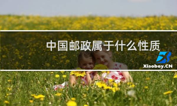 中国邮政属于什么性质