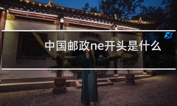 中国邮政ne开头是什么