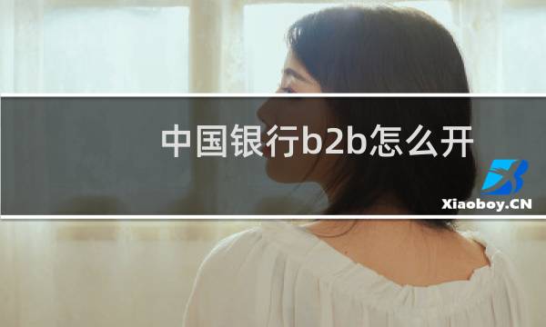中国银行b2b怎么开
