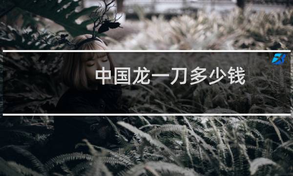 中国龙一刀多少钱