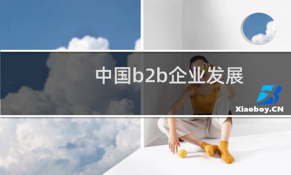 中国b2b企业发展