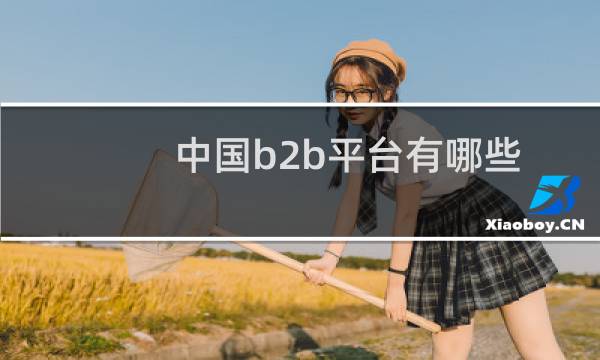 中国b2b平台有哪些