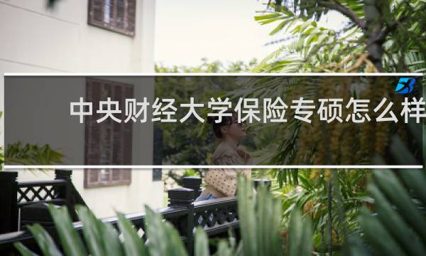 中央财经大学保险专硕怎么样