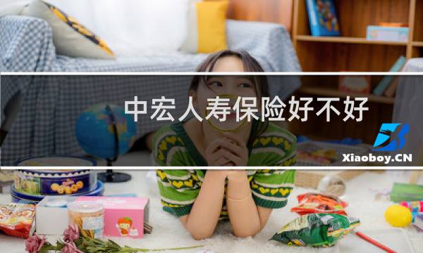 中宏人寿保险好不好