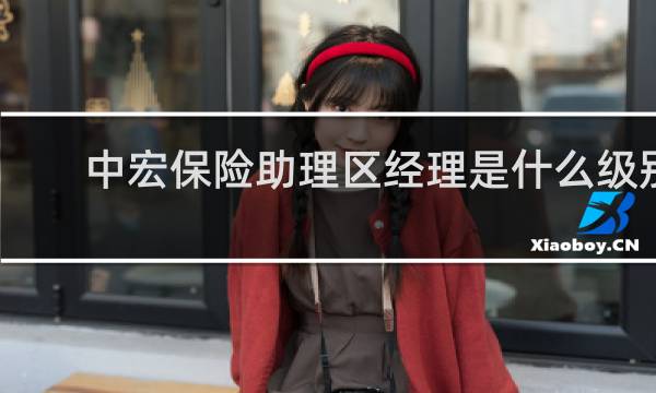 中宏保险助理区经理是什么级别