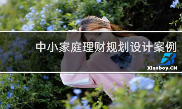 中小家庭理财规划设计案例