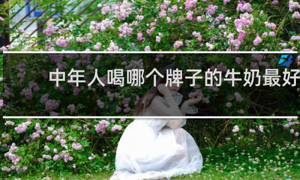 中年人喝哪个牌子的牛奶最好