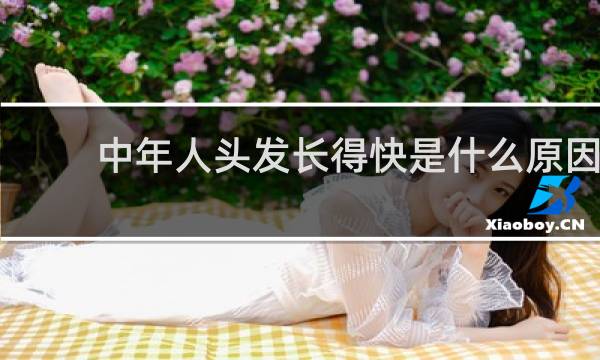 中年人头发长得快是什么原因