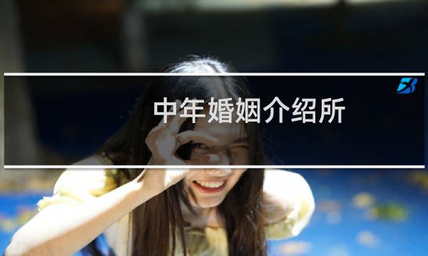 中年婚姻介绍所