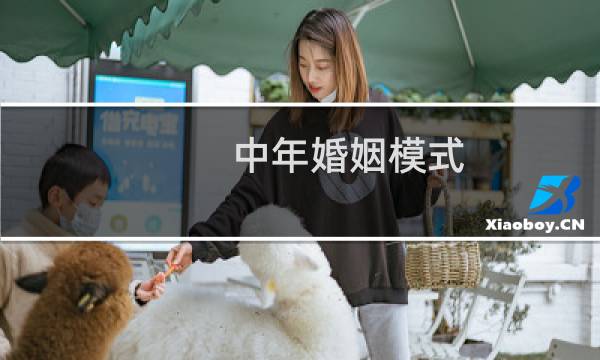 中年婚姻模式
