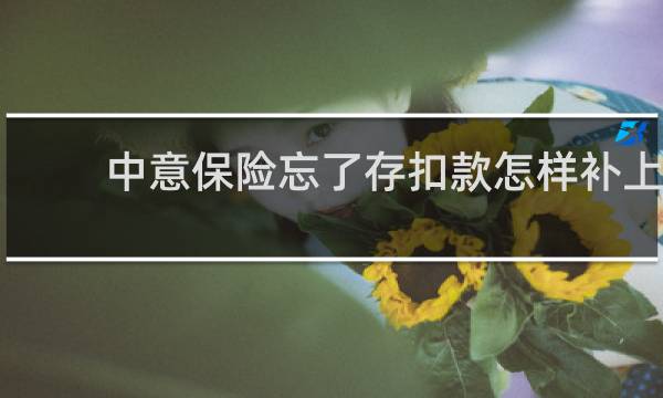 中意保险忘了存扣款怎样补上