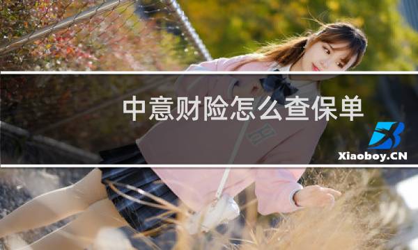 中意财险怎么查保单