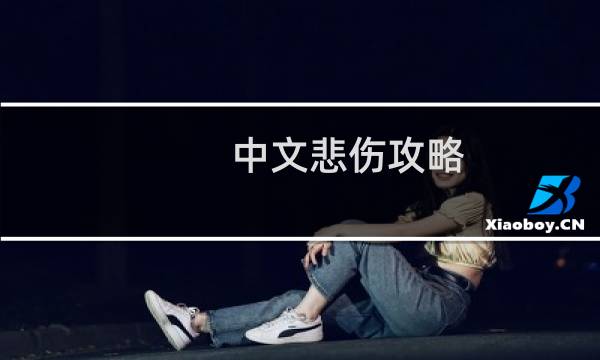 中文悲伤攻略